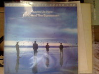 Echo & The Bunnymen