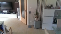 IMAG0157[1]