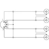 SpeaKa-Professional-Cinch-DIN-Anschluss-Audio-Y-Adapter-1x-Diodenstecker-5pol-DIN-4x-Cinch-Buchse-Sc