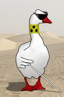 gans blind