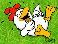 Huhn wo lacht