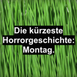 Montag