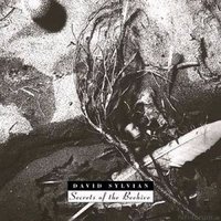 David-Sylvian-Secrets-Of-The-Beehive