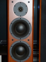 Dynaudio Focus 220