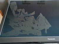 Displayschaden Panasonic P42GTX34