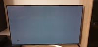 LG 55 Zoll B7D OLED