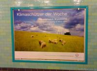 akw-brunsbuettel-am-alex