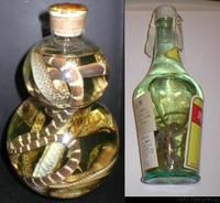 eidechsenschnaps