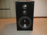 Pilot Subwoofer