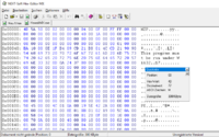 Hex Editor