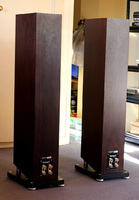 Tannoy XT 6F Walnut 3