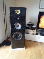 Focal Onyx