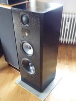 Focal Onyx