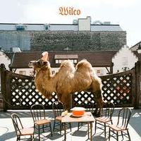 wilco