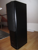 Pioneer Prologue S-400 mit Bespannung