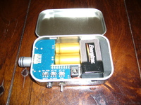 penguin amp