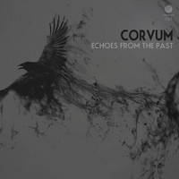 Corvum