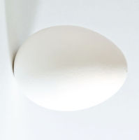 600px-White_chicken_egg_square