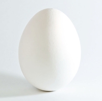 600px-White_chicken_egg_square_right