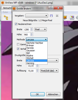 XnView Scaling-Methoden