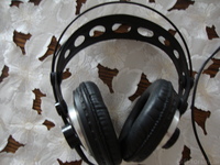 AKG K240 Sextett