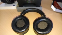 Philips Fidelio L1 fixed