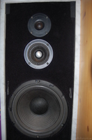 Speaker zoomed