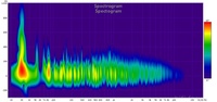 08 spectogram