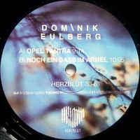 Dominik Eulberg ? Backslash (01) (Discogs) R-4669399-1371856091-7071