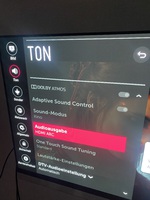 Einstellung HDMI ARC auf LG E8