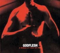 GODFLESH - a world lit only by fire