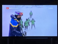 TV Bild