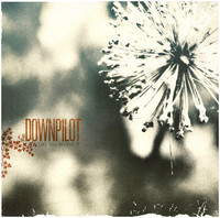 Downpilot-Like