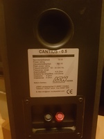 Cantius 0.5