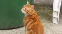 DSCF6063