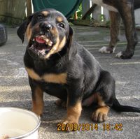 IMG_0585