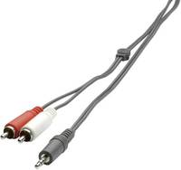 cinch-klinke-audio-anschlusskabel-2x-cinch-stecker-1x-klinkenstecker-35-mm-2-m-schwarz-speaka-profes