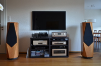 Accuphase p800