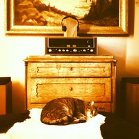 Sansui 990 black mit Sonab OA 14 (... und Kater.. ????) 